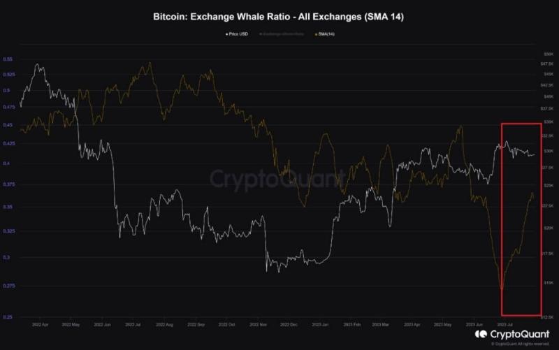 Bitcoin whales vs HODLers: Which cohort will tilt the price of BTC?