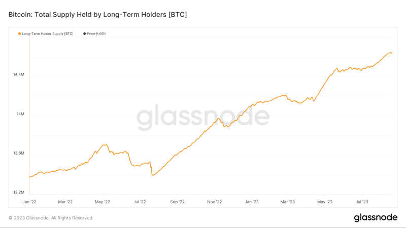 Long-term holders weather brief volatility surge