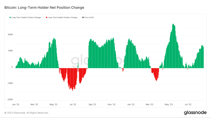 Long-term holders weather brief volatility surge