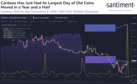 Cardano Bearish Signal: Dormant ADA Whales Are On The Move