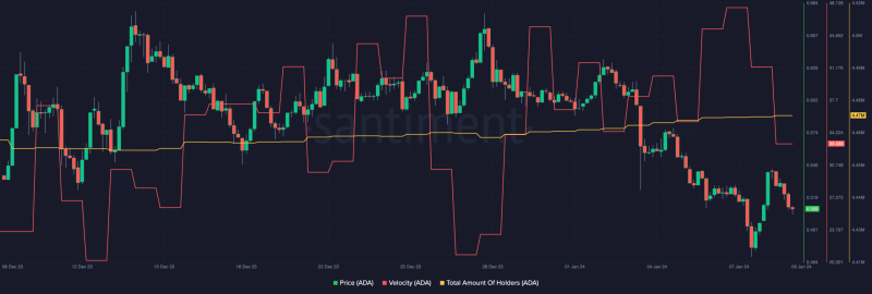 Can Cardano bulls prop up ADA’s rally