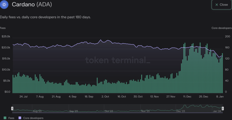 Can Cardano bulls prop up ADA’s rally