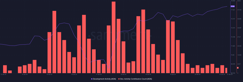 Cardano: Did ADA follow its high developmental activity?