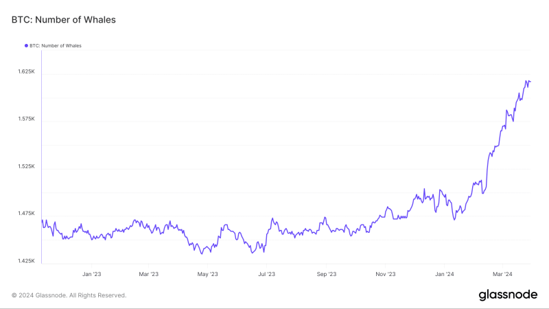 ‘Confident’ Bitcoin investors awaiting THIS bullish trigger from BTC at $70K